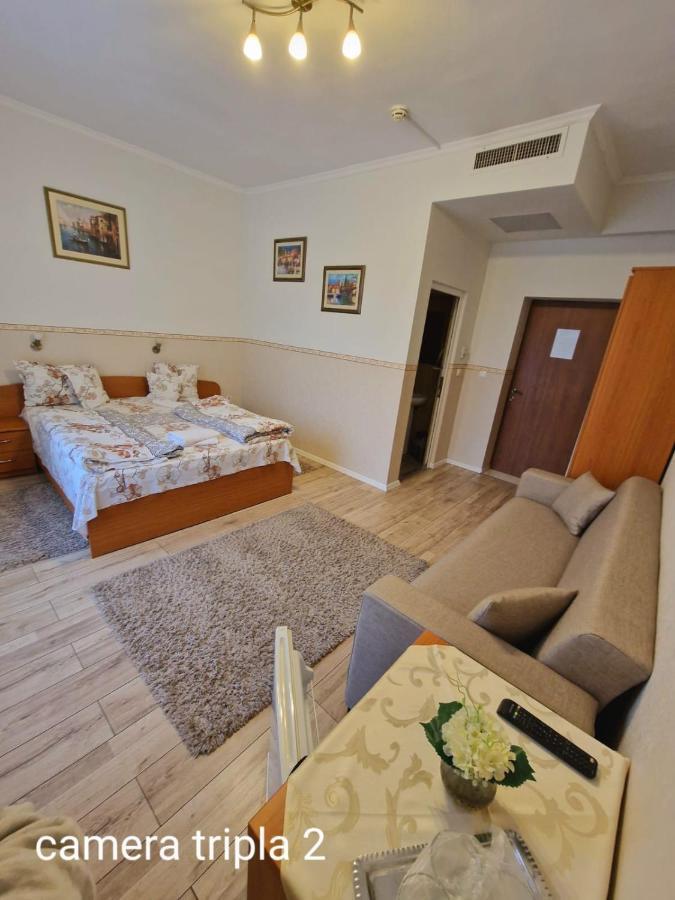 Pensiunea Veronica Băile Felix Exterior foto
