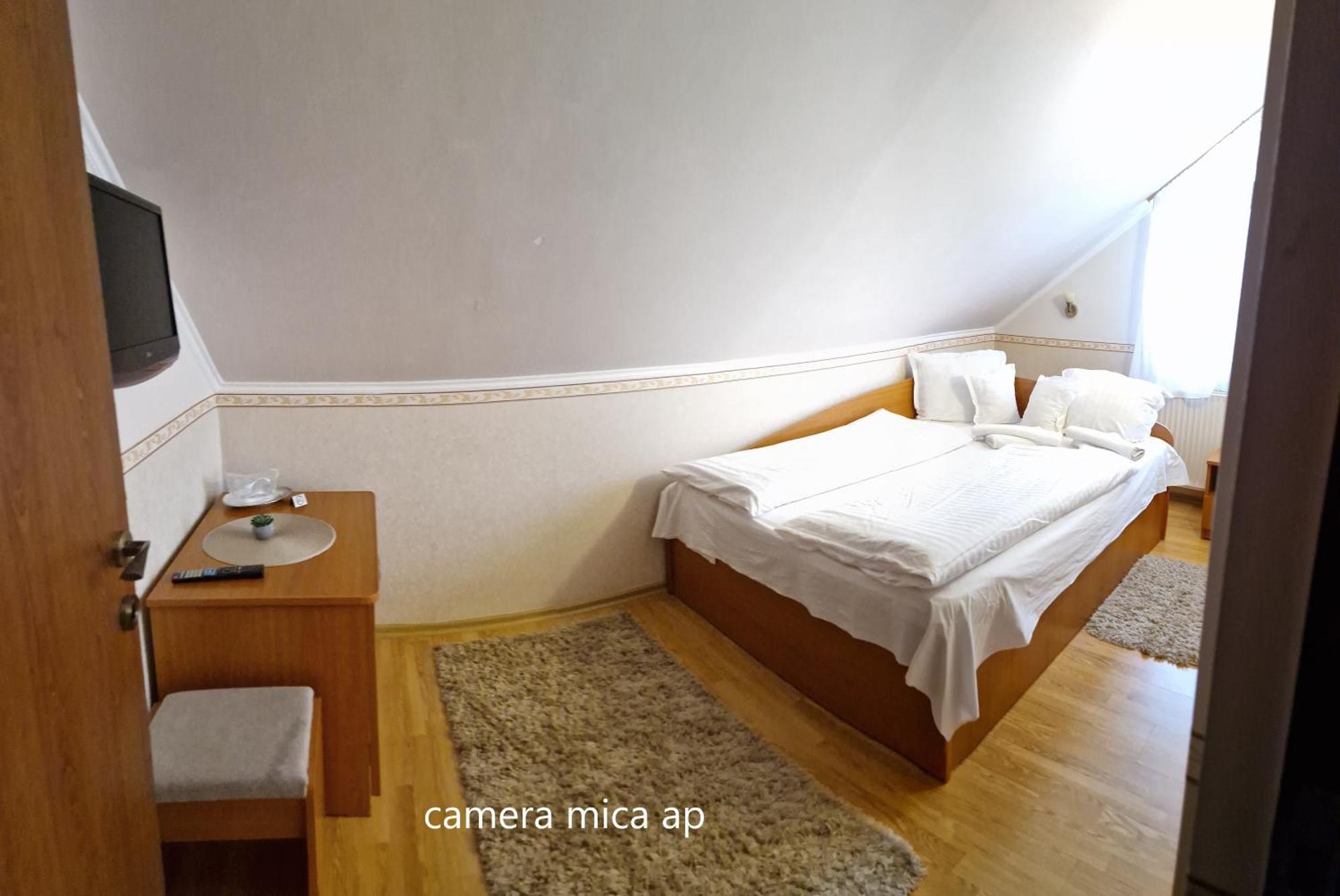 Pensiunea Veronica Băile Felix Cameră foto