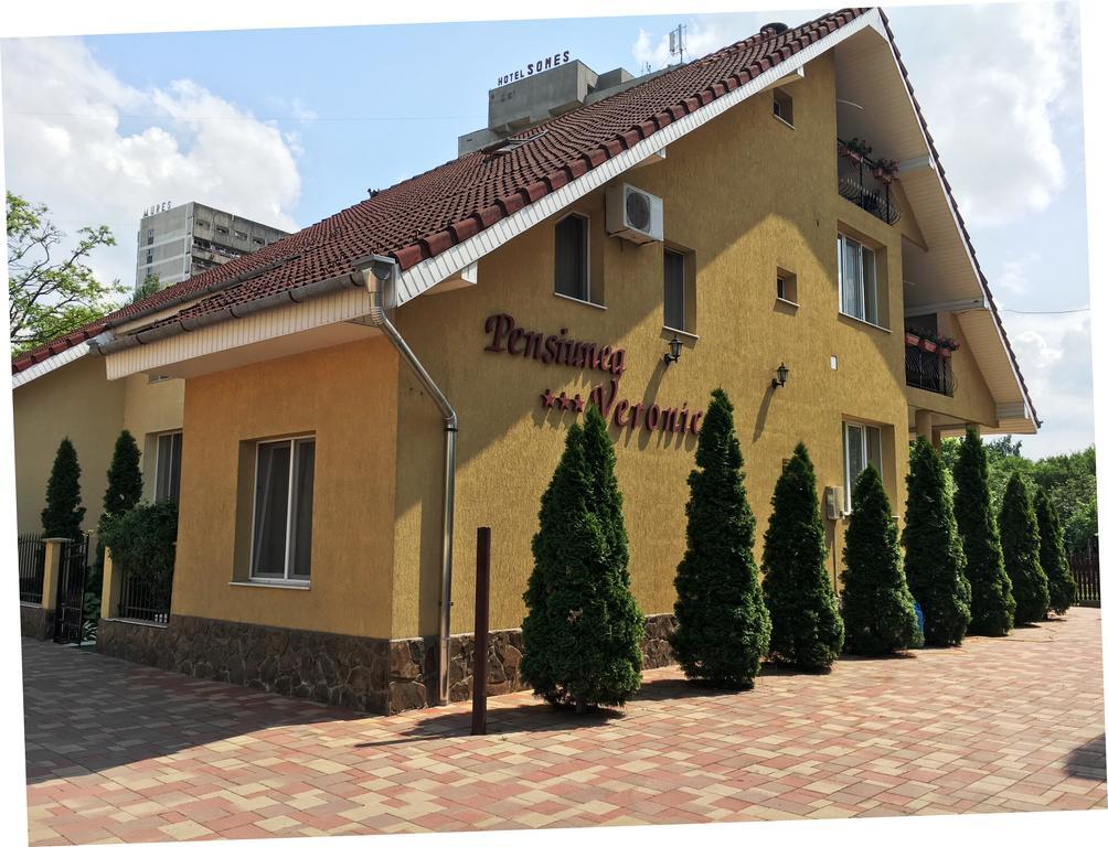 Pensiunea Veronica Băile Felix Exterior foto